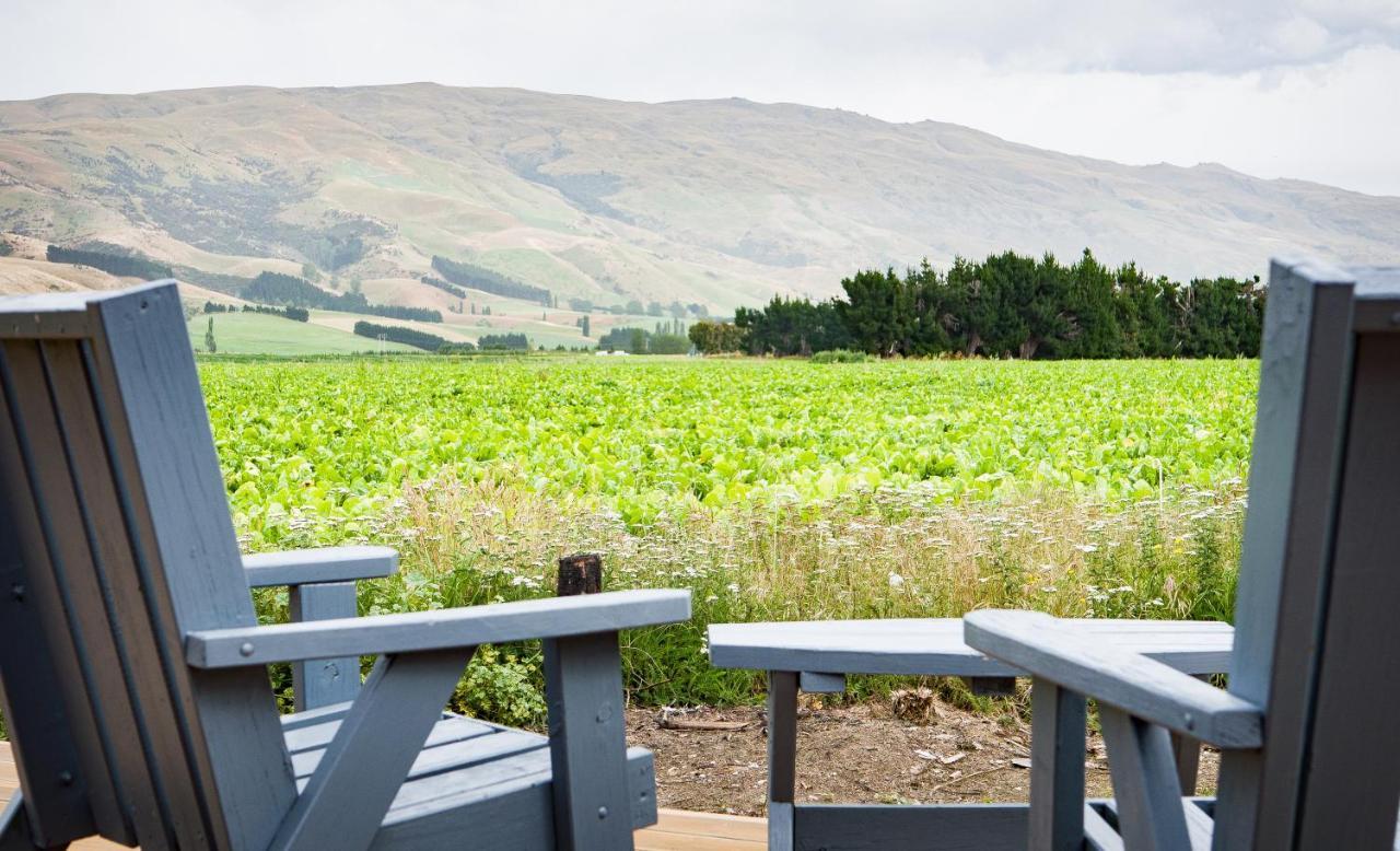 Honey Cottage In Ettrick Millers Flat ภายนอก รูปภาพ
