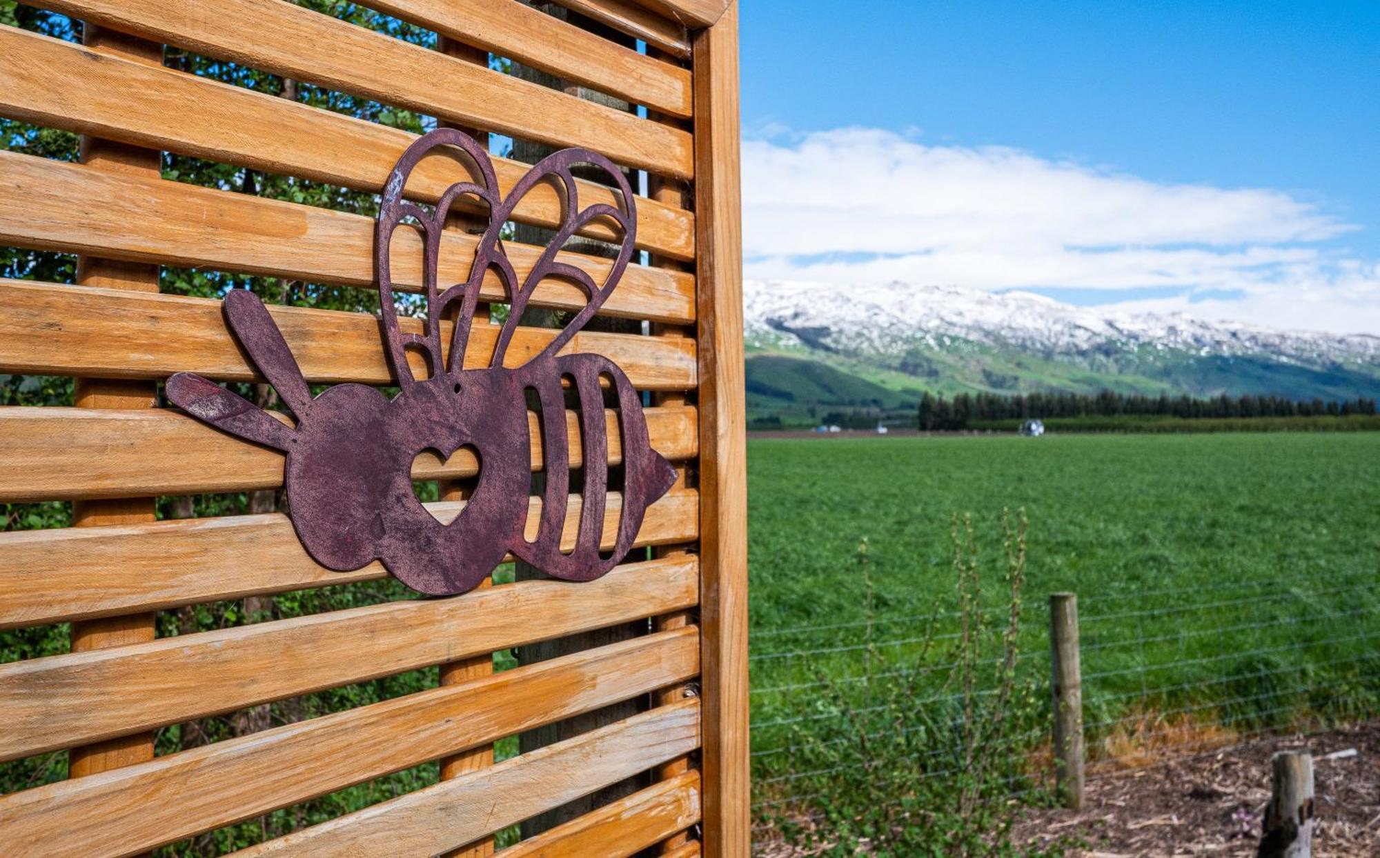 Honey Cottage In Ettrick Millers Flat ภายนอก รูปภาพ